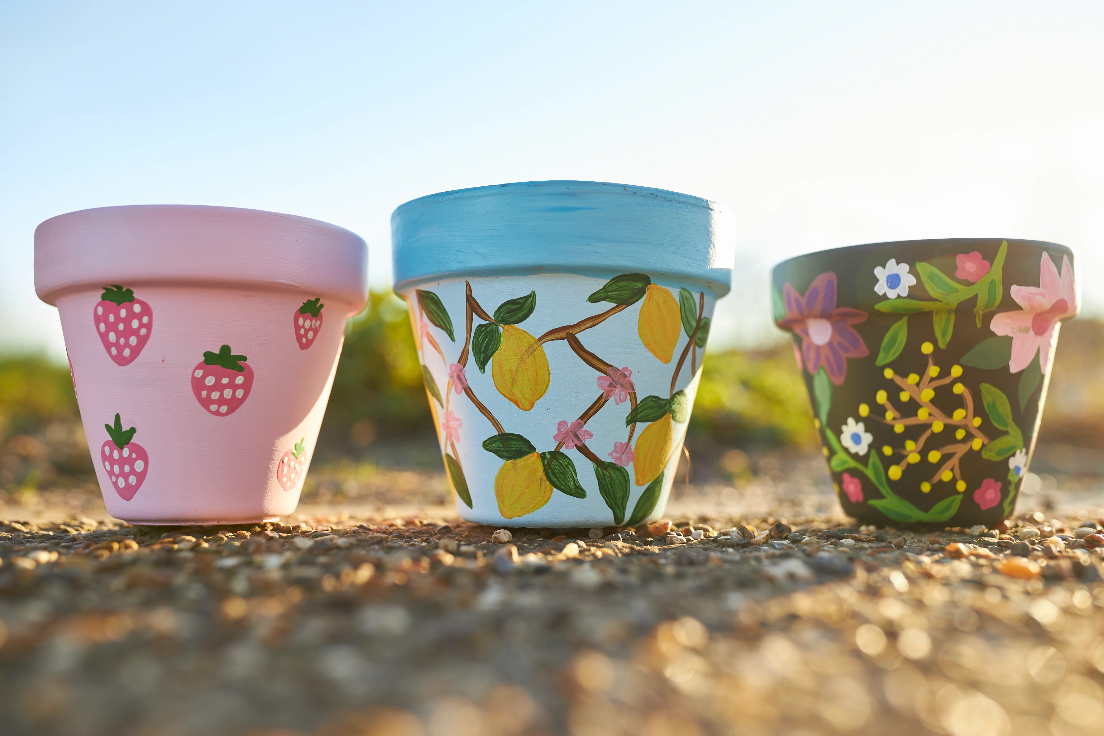 Paint and Sip: Paint a Pot